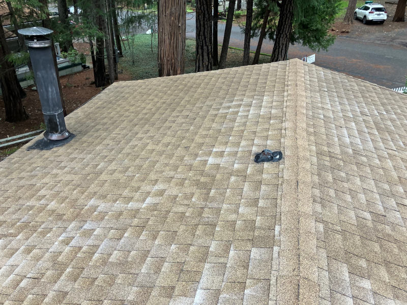 Roof Cleaning in Chico, California