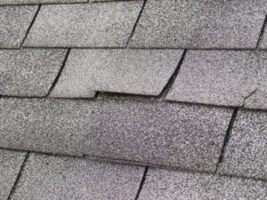 Common Signs You Need Roof Repair